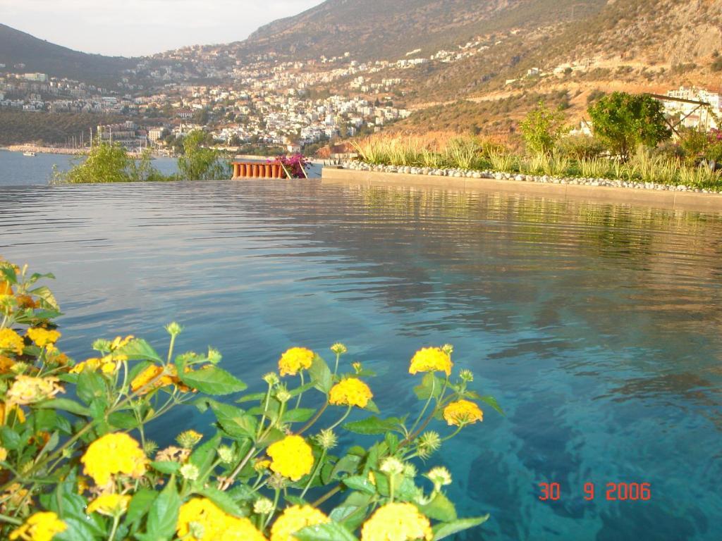 Club Patara Villas Kalkan Rum bild